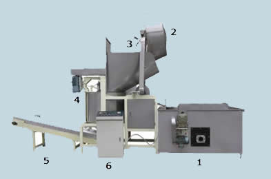 Automatic Batch Fryer